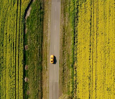 Mustang driving through field